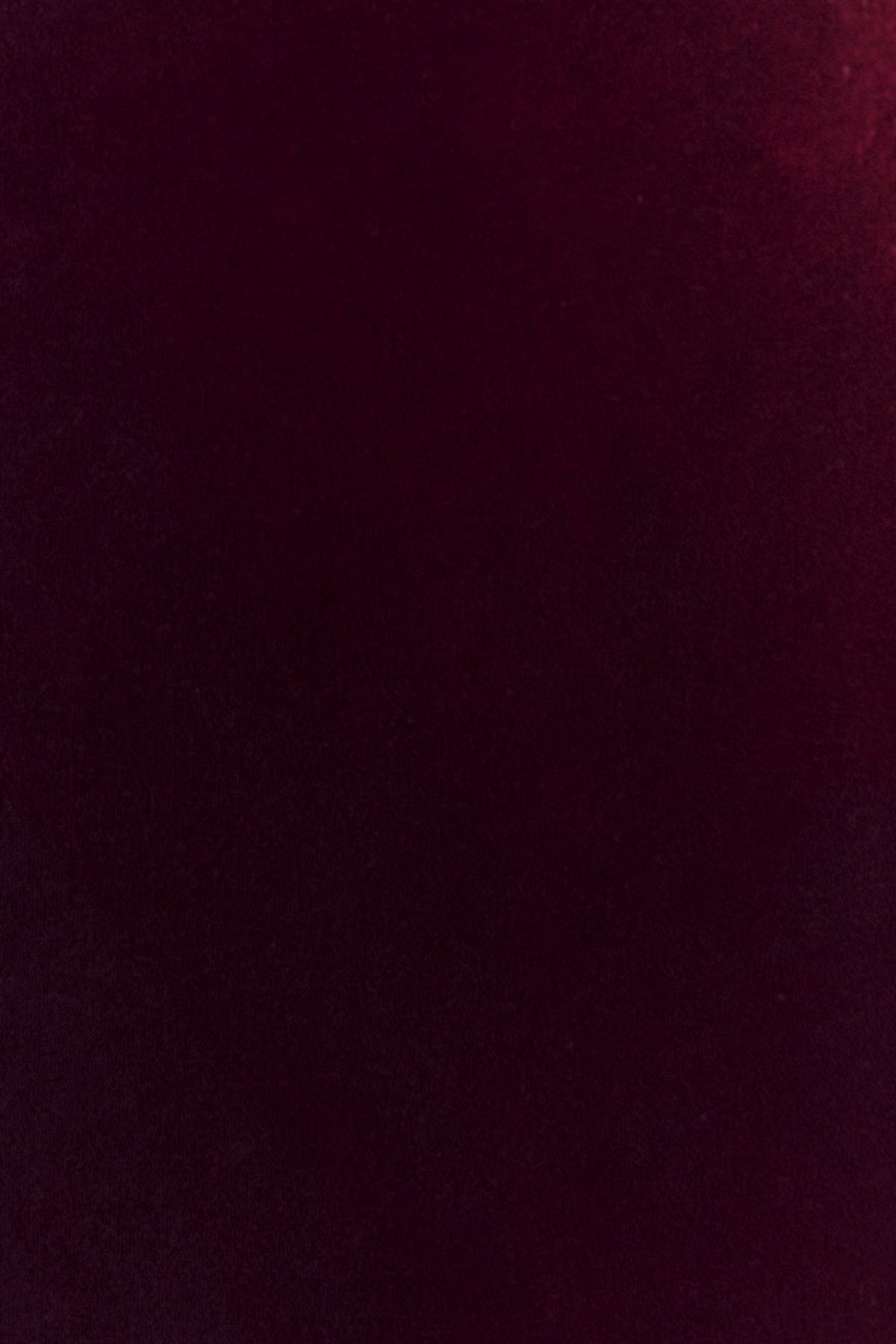 Paulina Velvet Strapless Mini Dress - Wine