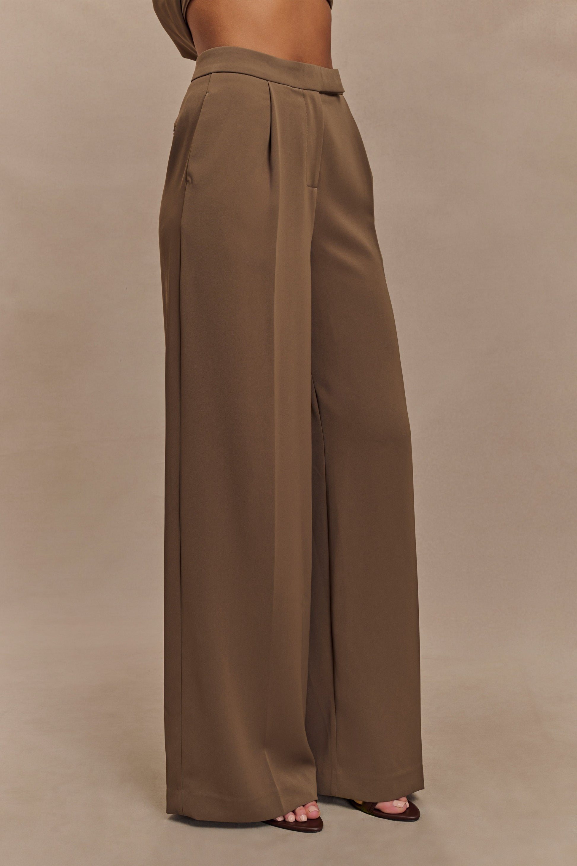 Faith Suiting Wide Leg Pant / Cacao Brown | MESHKI | M Faith Suiting Wide Leg Pant / Cacao Brown | MESHKI | M