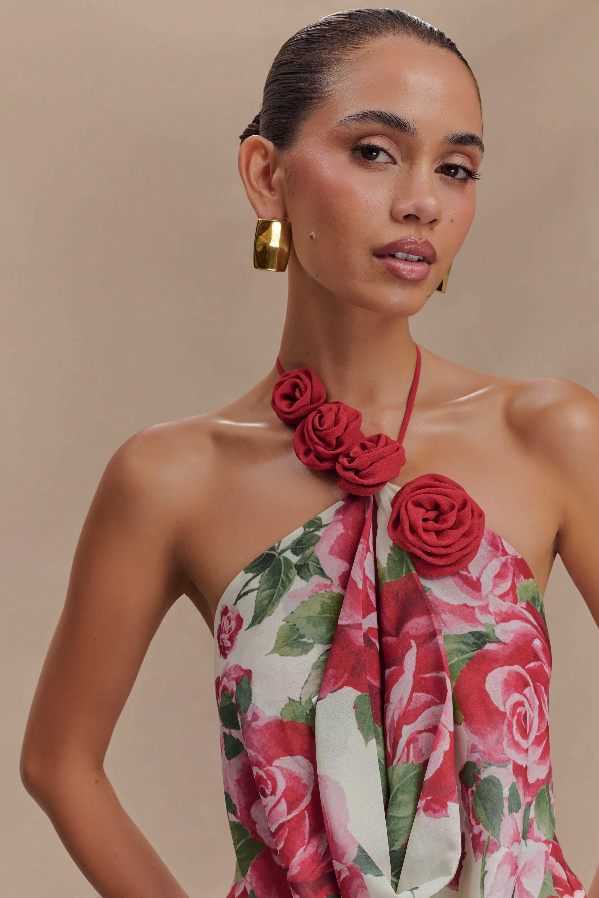 rosalia floral mesh long dress Rosalia Brown Mesh Maxi Dress - L Size - Women's Dresses