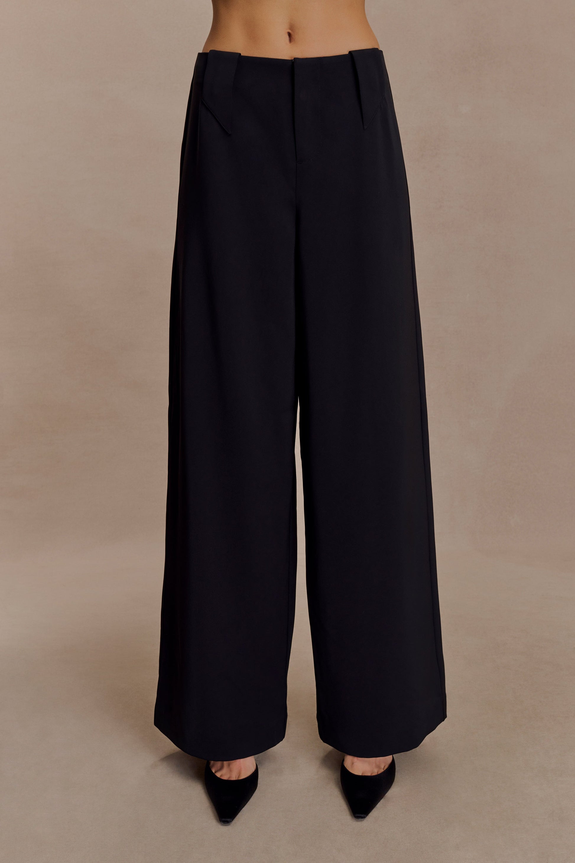Arlo Wide Leg Suiting Trouser - Black #6