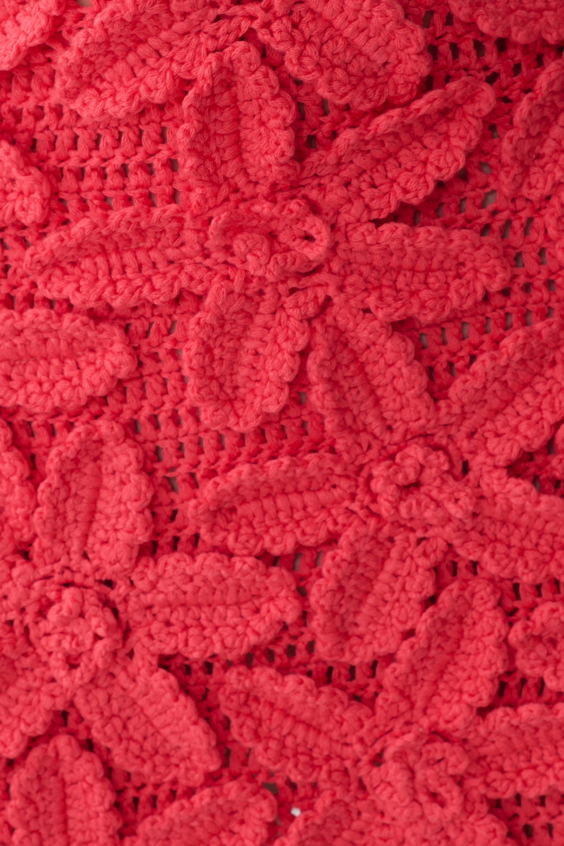 Jaylene Floral Crochet Mini Dress - Pomegranate #4