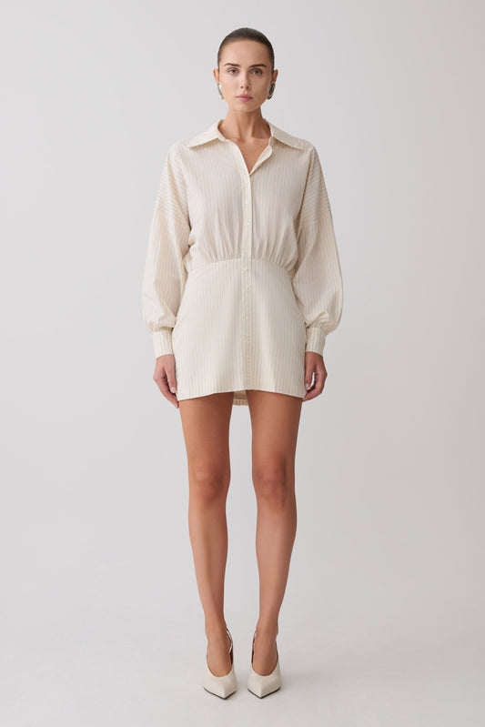 Ivy Oversize Shirt Mini Dress - Stripe