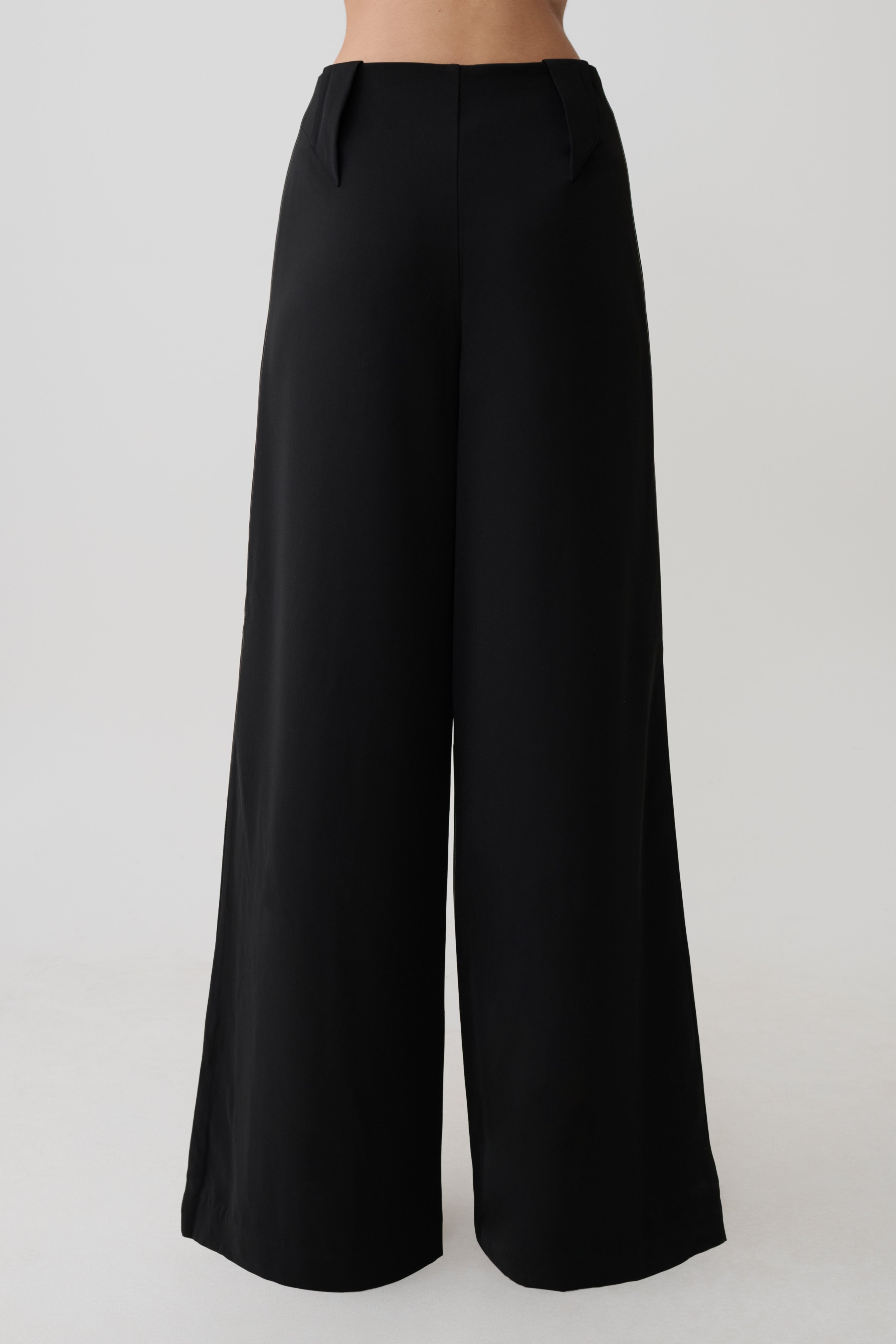 Arlo Wide Leg Suiting Trouser - Black | MESHKI US