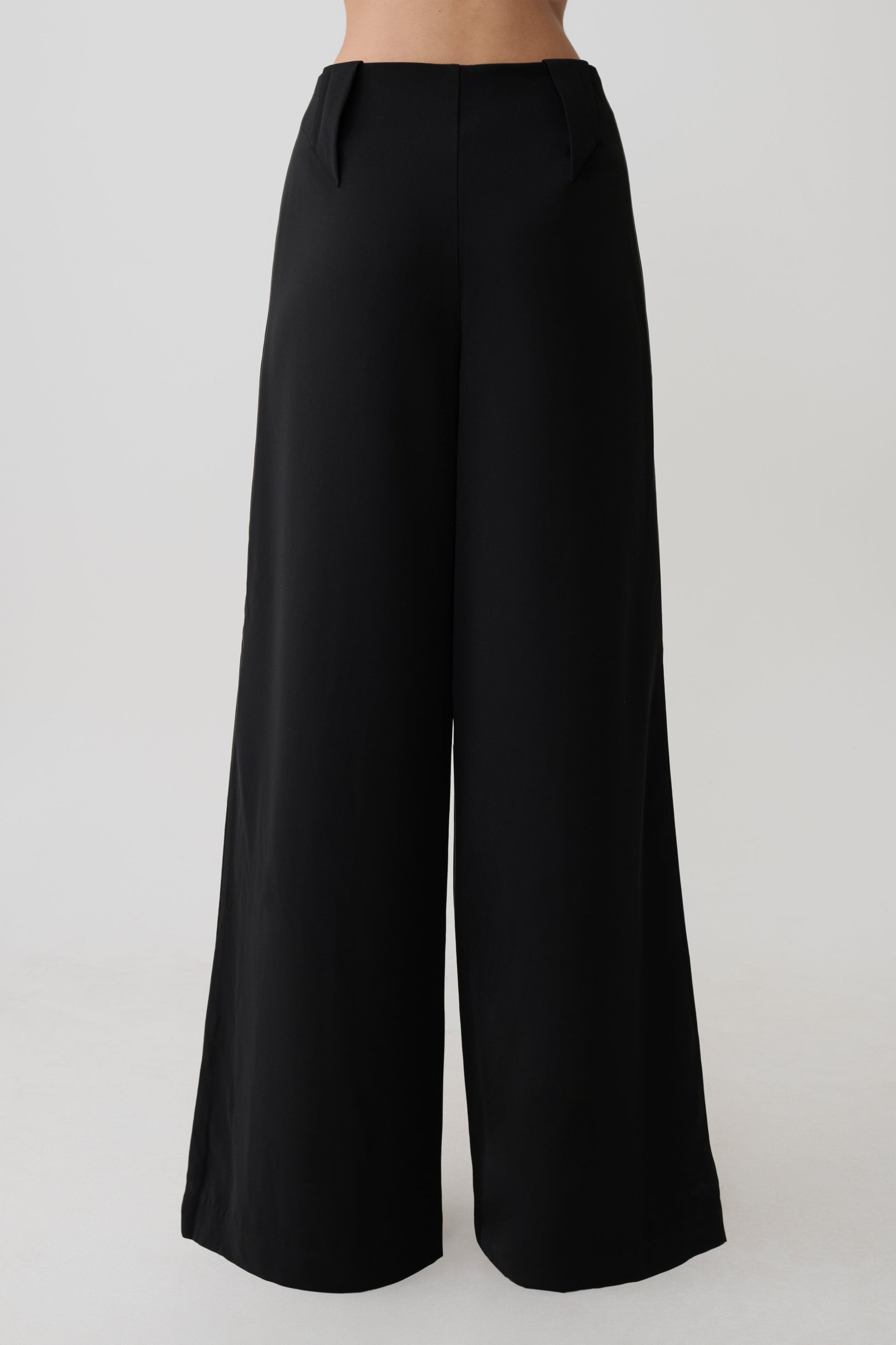 Arlo Wide Leg Suiting Trouser - Black #5