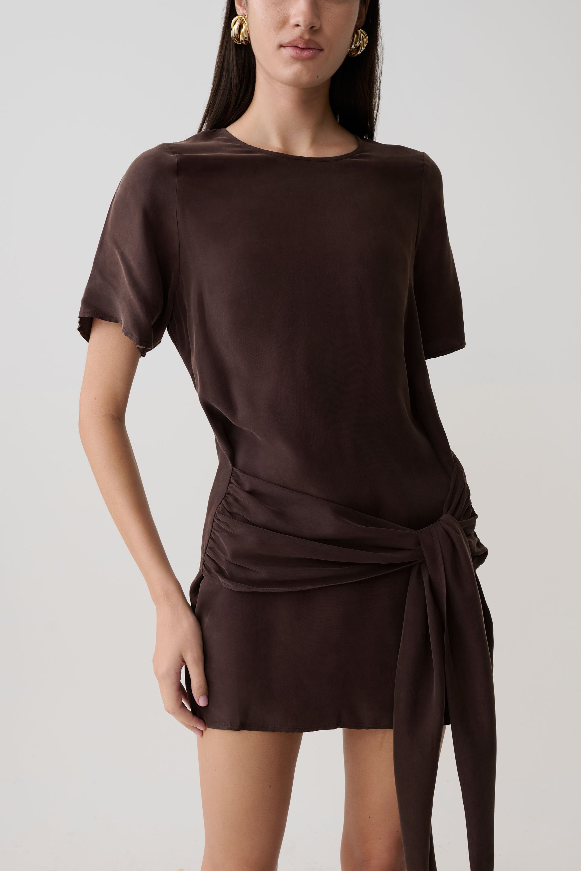 Felicity Short Sleeve Dress With Waist Tie - Dark Chocolate