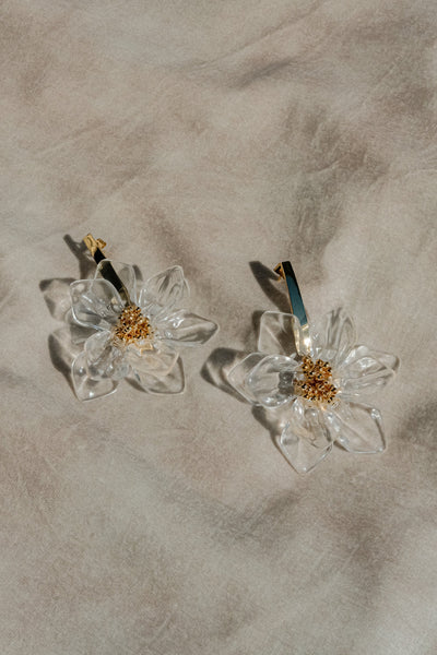 DSCF2791_grande.jpg?v=1761519283