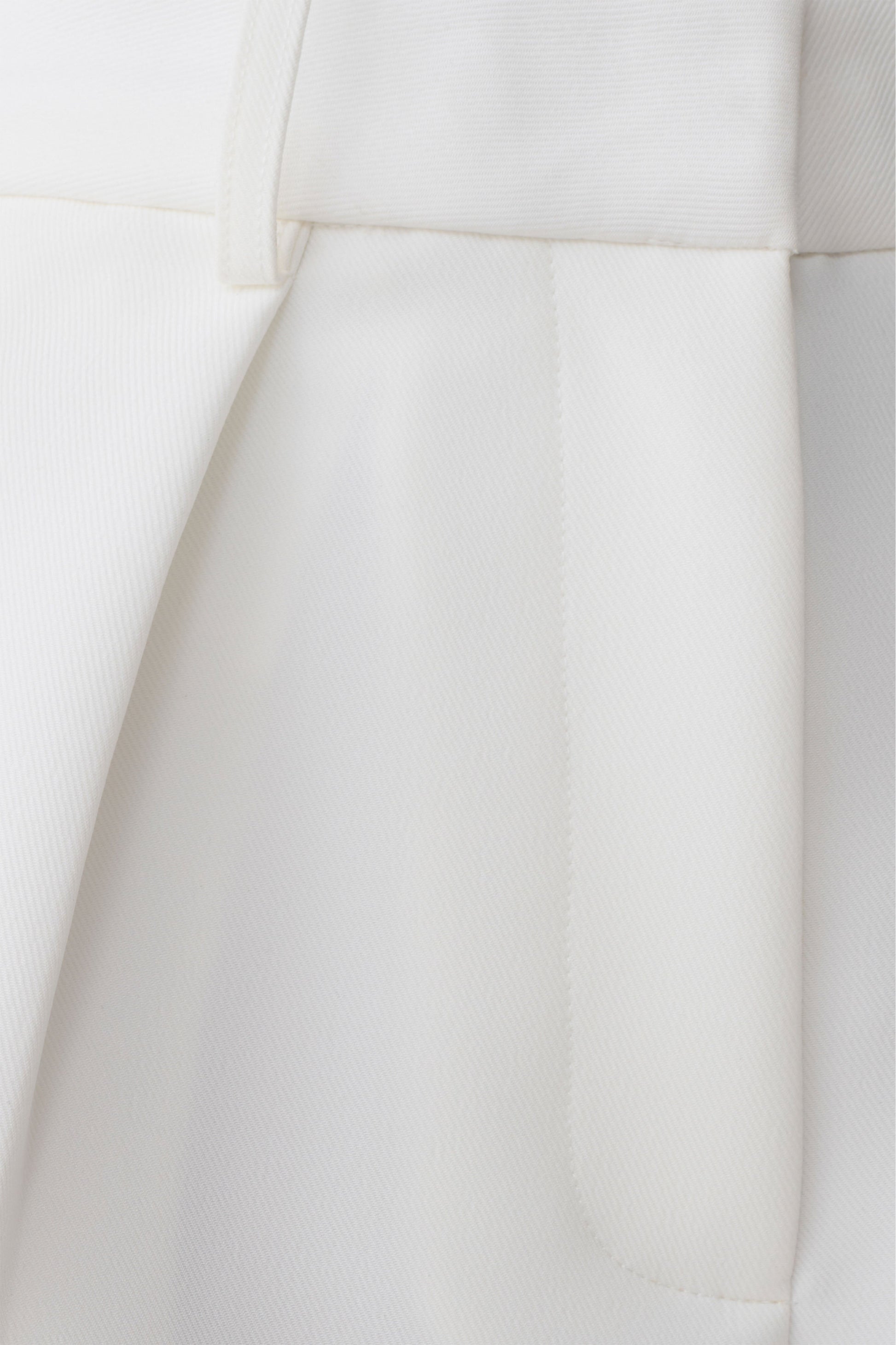 Dominique Pleated Suiting Shorts - Ivory #5