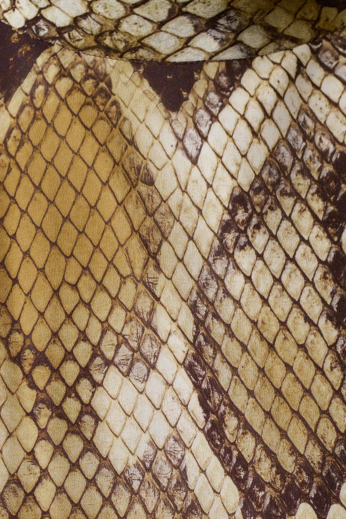 Eliana Tie Back Chiffon Sleeveless Top - Snake Print #5